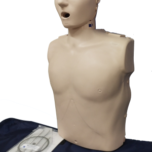 Professional Adult Jaw Thrust Manikin